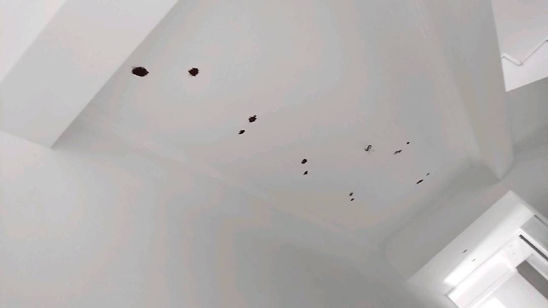 通山县我是油漆工师傅，需要油漆工给我联系 图片
