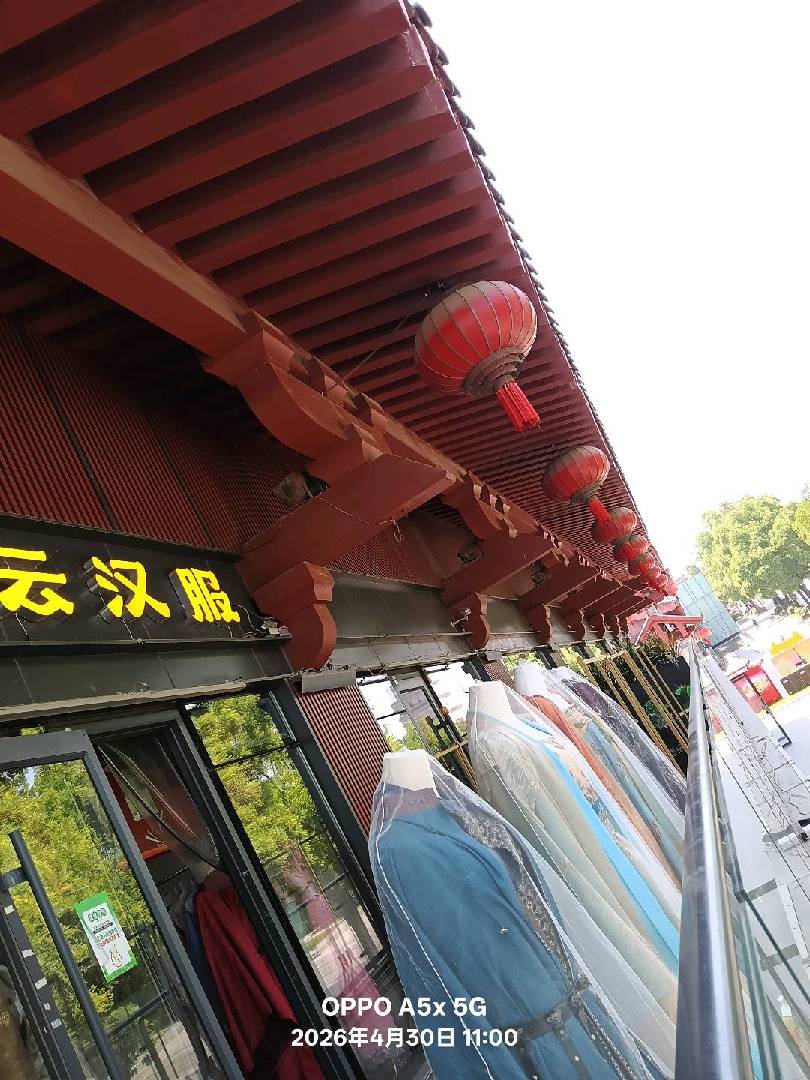 西安古城不夜城部分景点。 图片