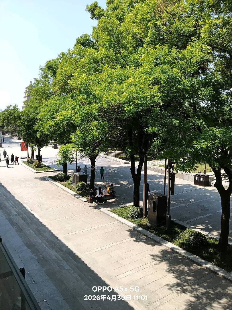 西安古城不夜城部分景点。 图片