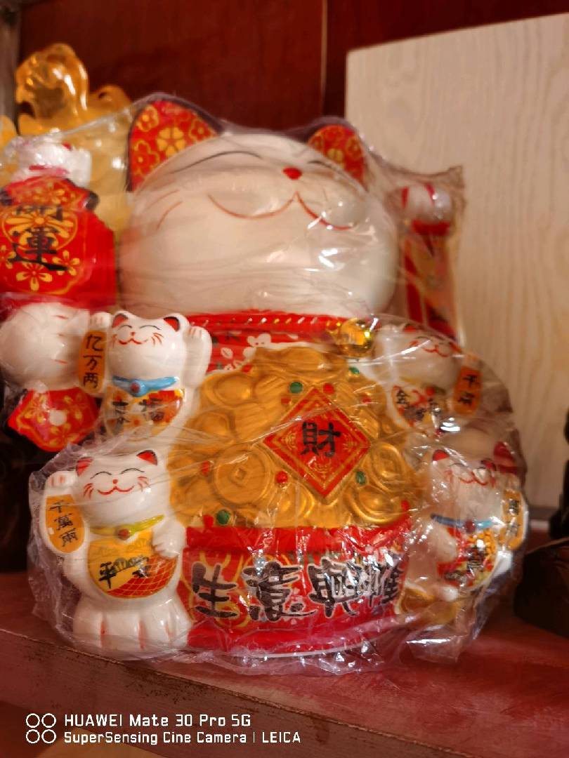 哇，这个招财猫太漂亮了。 图片