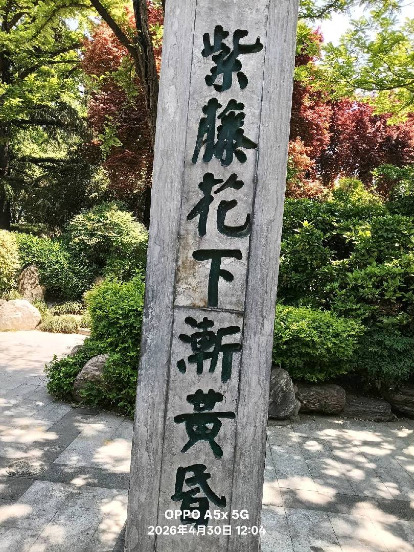 也说说人生苦短，及时行乐！ 图片