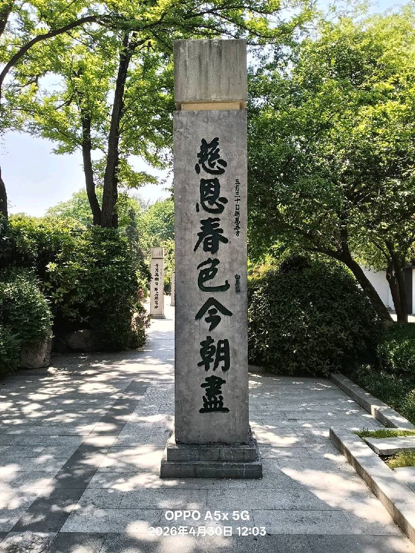 也说说人生苦短，及时行乐！ 图片