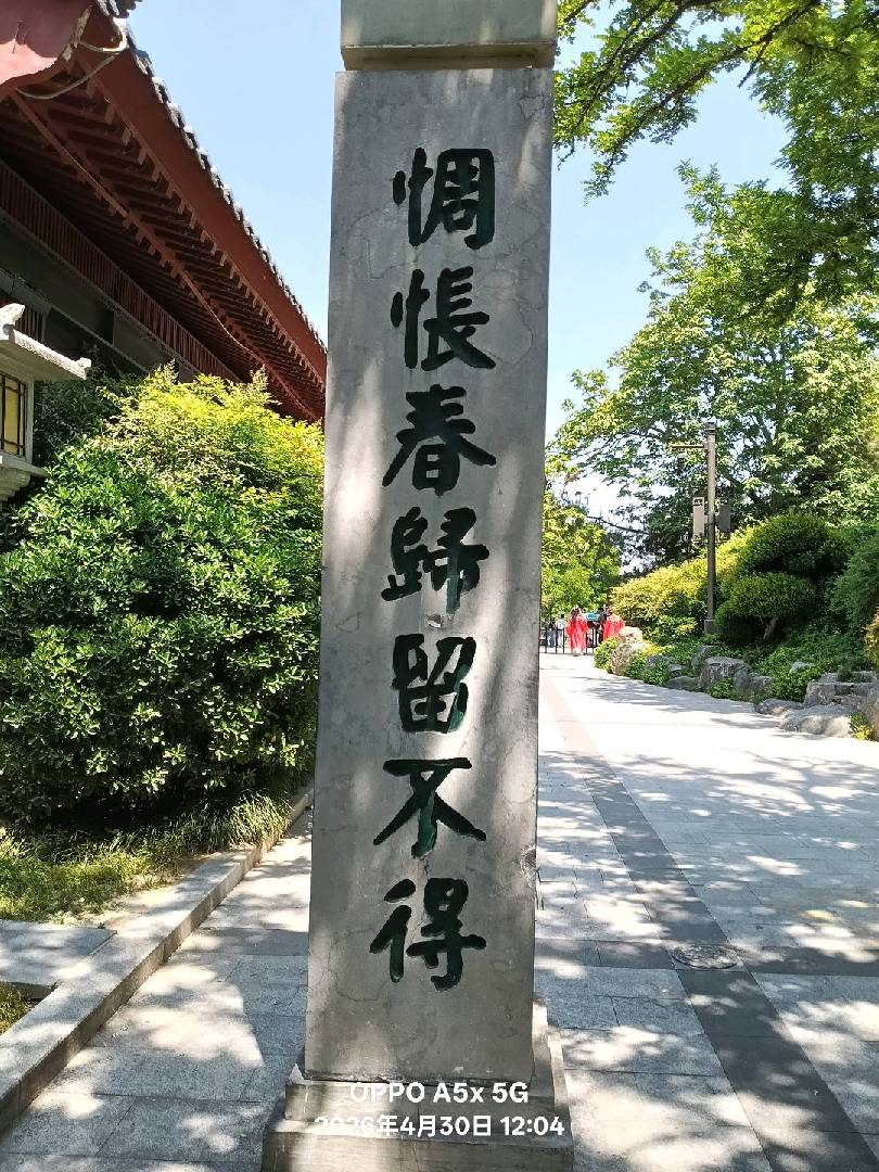 也说说人生苦短，及时行乐！ 图片