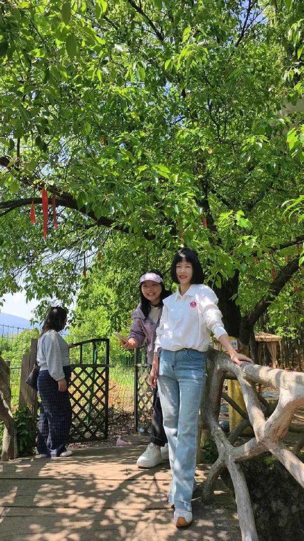 有表演有聚餐的团建，你来吗 图片