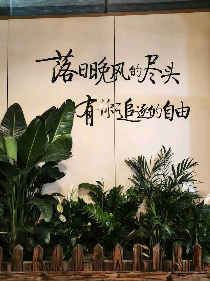 新店开业请大家多多指教。 图片