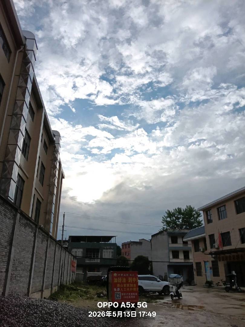 趁阳光正好，雨不再下，赶紧来接娃放学！ 图片