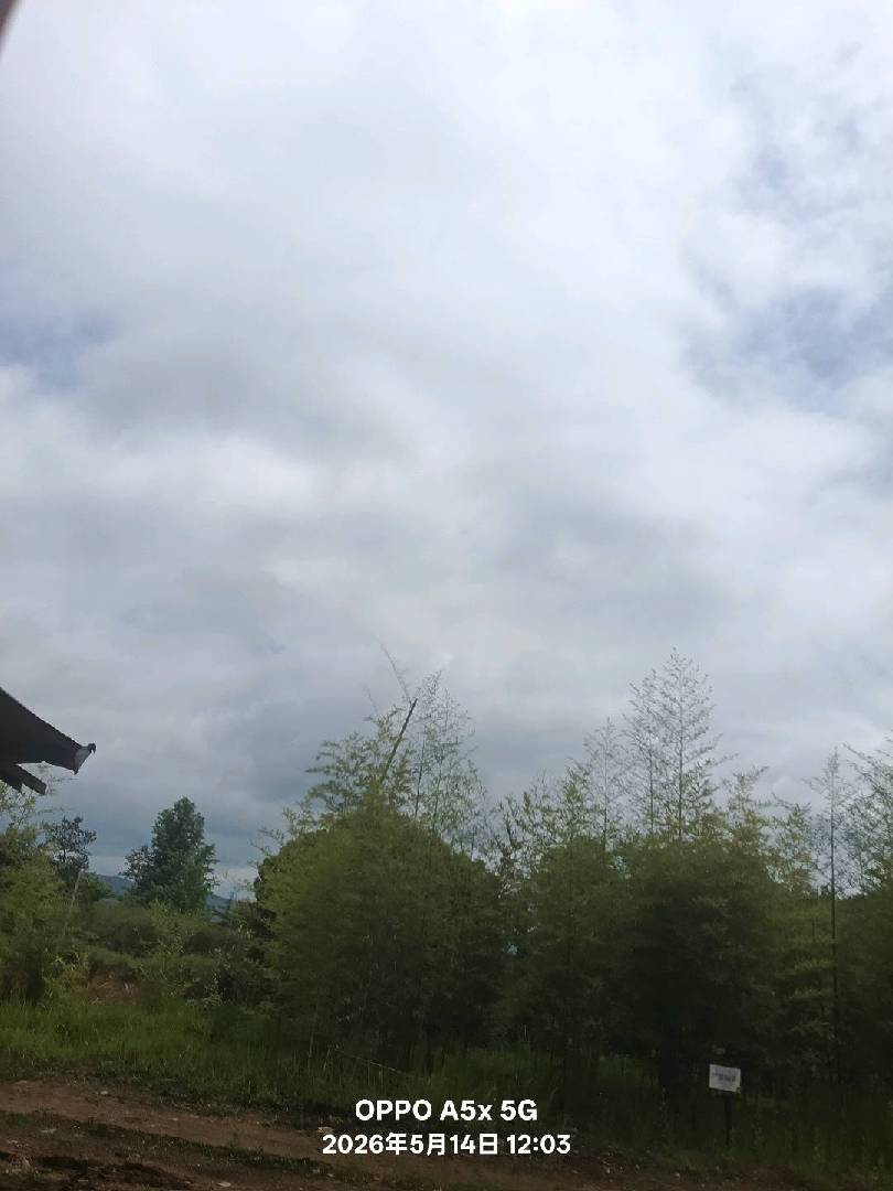 白云如絮空悠悠，二两白酒刚入喉。醉看人间不平事，一路笙歌到白 图片