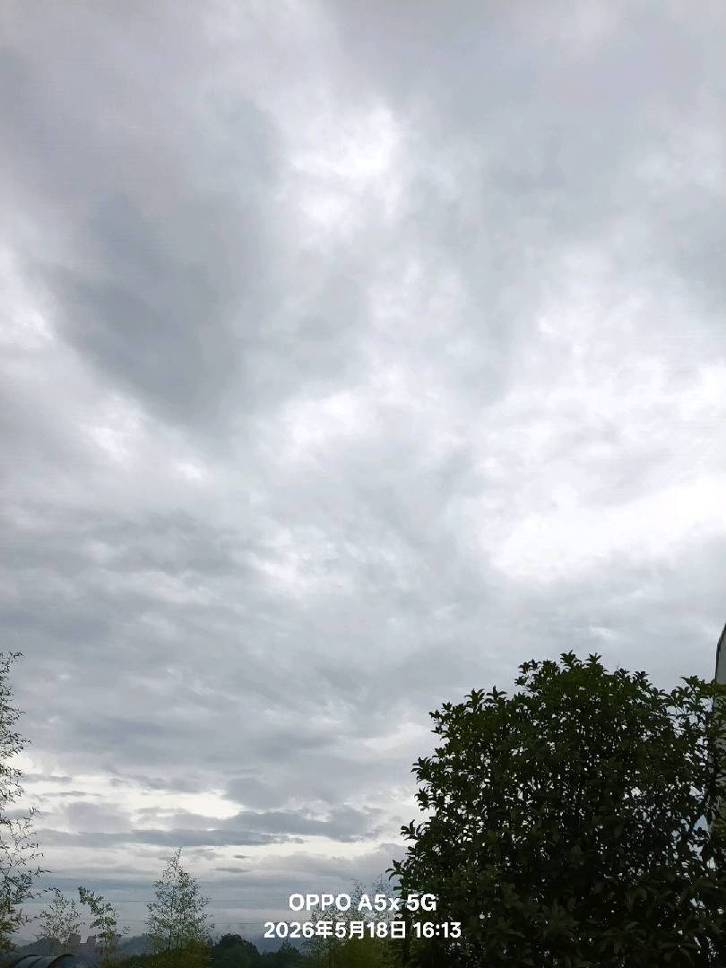 雨后的空气特别清新，带有一点泥土的味道。 图片