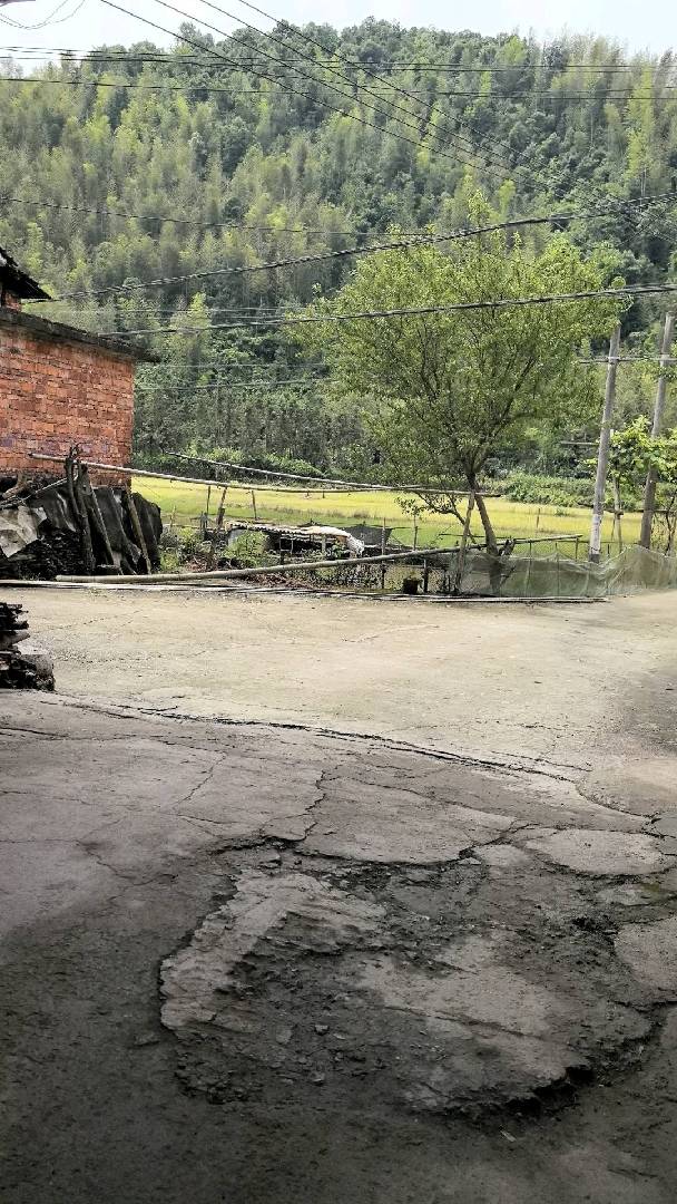 厦铺竹林村风景真好。。 图片