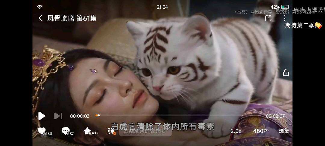 这白虎变小猫咪超级无敌喜欢 图片