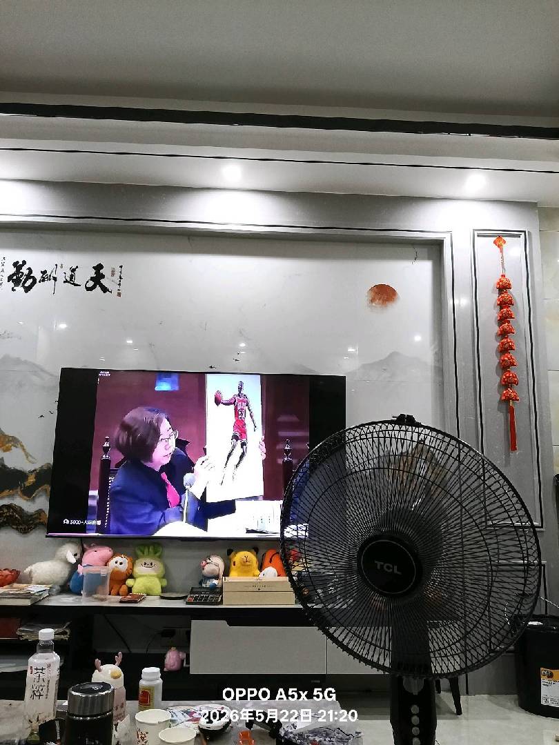不吹风扇都无心看电视了！ 图片