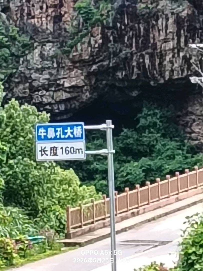 再拍一下牛鼻孔大桥。 图片