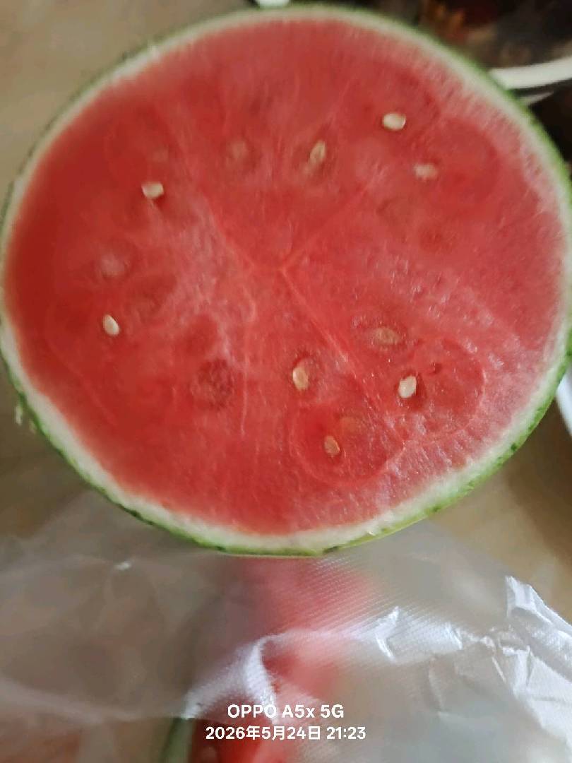 这榴莲，这西瓜，都是诱人的会材！ 图片
