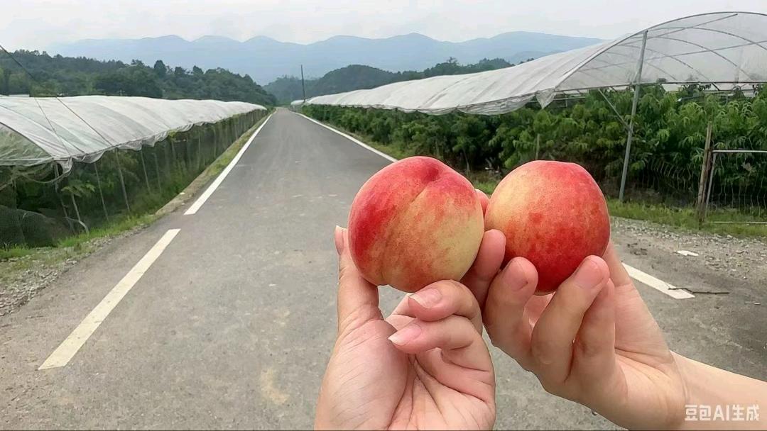 有一起去摘桃子的搭子吗 图片