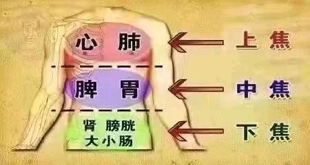 能养身体的兼职！！！！！ 图片