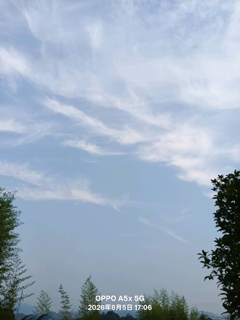 天高云淡，望断南飞雁。 图片