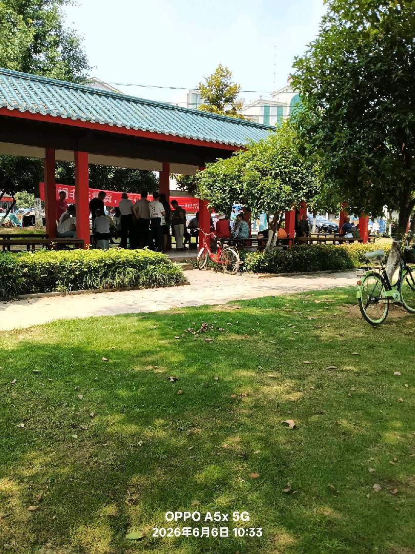 县政府广场每到双休便都是老年人！ 图片