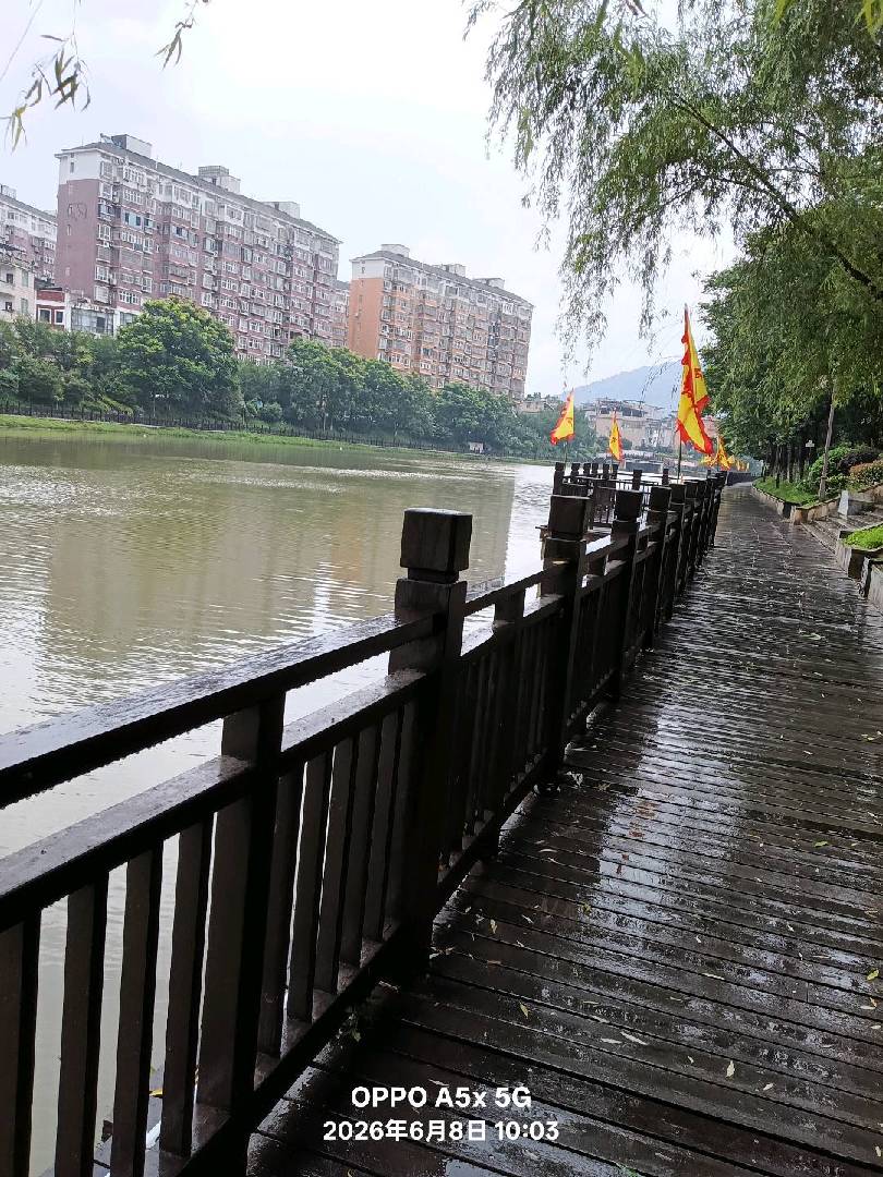 打卡五里帮，赚钱也不慌。 图片