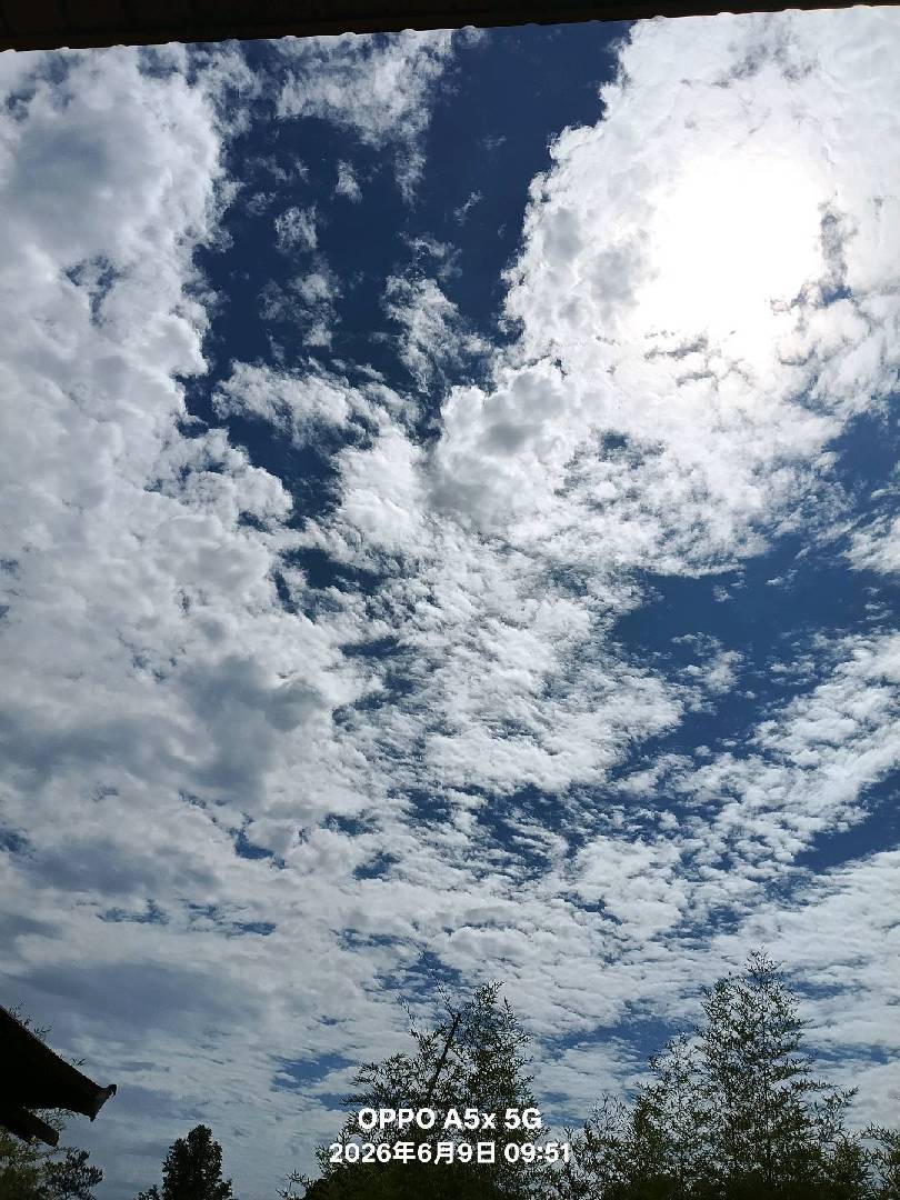 这个天气是什么意思呢？ 图片