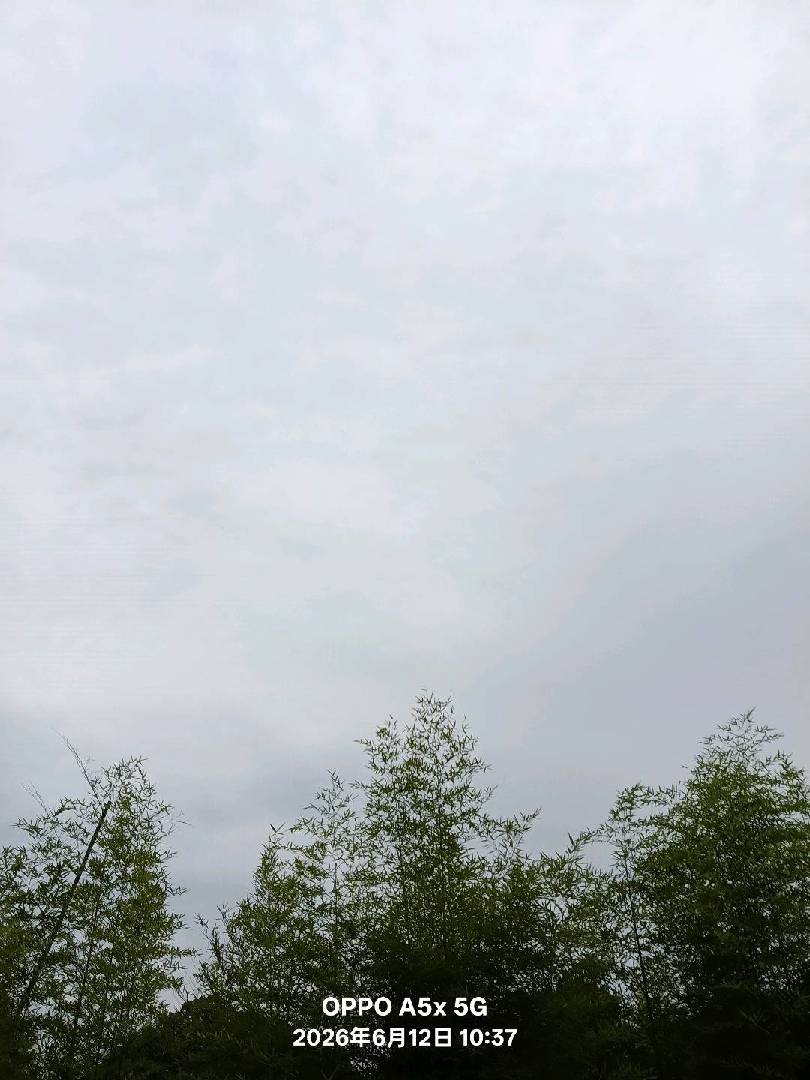 雨一直下，气氛不算融洽。 图片