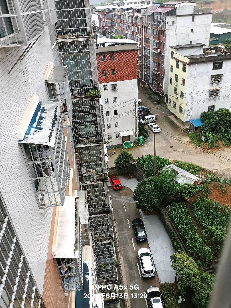 雨一直下，没有停下来的意思！ 图片