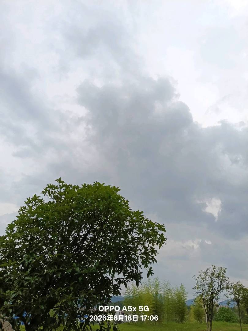 暴风雨来临前的节奏。 图片