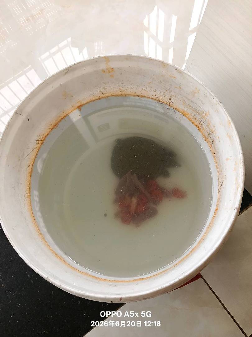 这甲鱼已经养了二个月了，感觉还是老样子。 图片