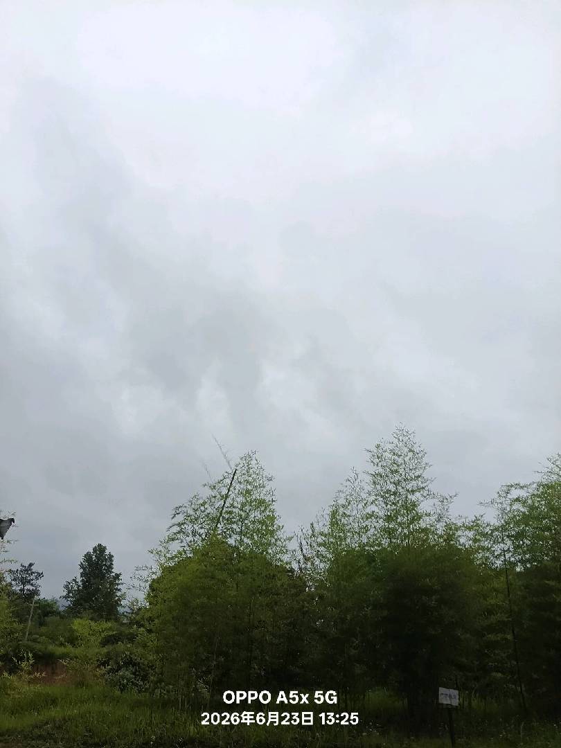从早上一直下到现在，也该歇歇了吧！ 图片
