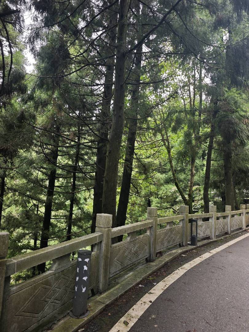九宫山想找合租搭子（限女性) 图片